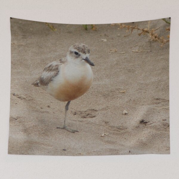 Item preview, Close up New Zealand dotterel tūturiwhatu designed and sold by lizdomett.