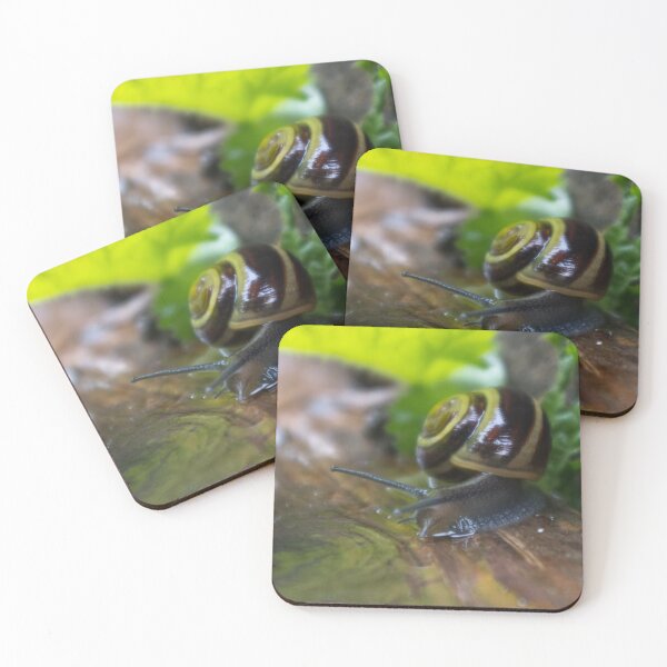 Item preview, Spring Rain designed and sold by A-Snail-Life.