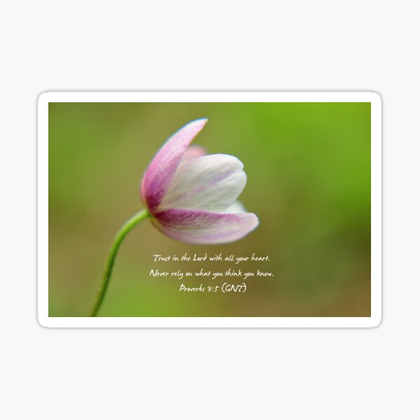 Proverbs 3:5 Sticker
