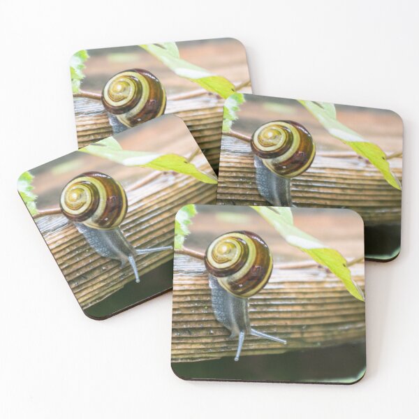 Item preview, Snail Descending a Staircase designed and sold by A-Snail-Life.