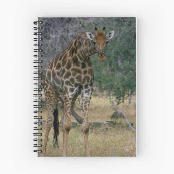 Item preview, Giraffe Staredown designed and sold by KarenZuk.