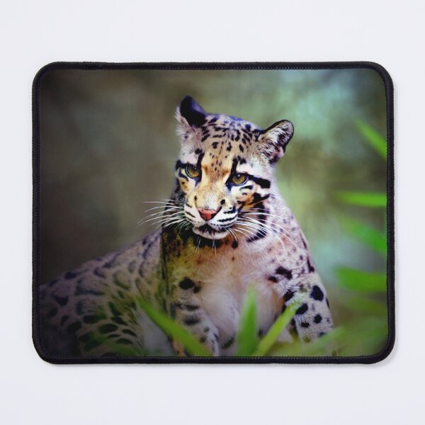 Item preview, Clouded Leopard Cub designed and sold by Savannah Gibbs.