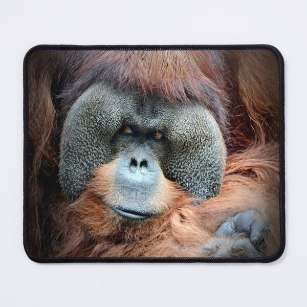 Item preview, Orangutan designed and sold by Savannah Gibbs.