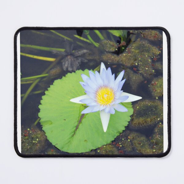 Item preview, the lilly designed and sold by treborbob.