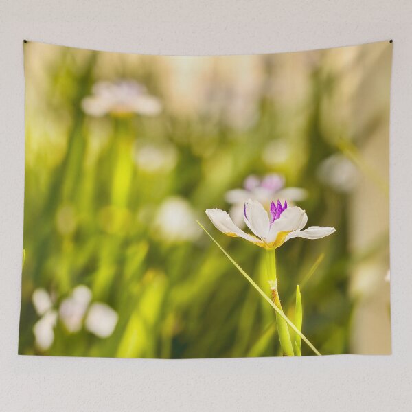 Item preview, African Iris Bokeh designed and sold by Kay Brewer.