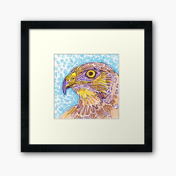 Hawk drawing - 2017 Framed Art Print