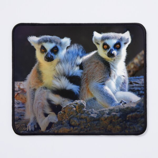 Item preview, Lemurs designed and sold by Savannah Gibbs.