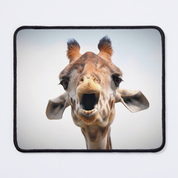 Item preview, Open Wide! designed and sold by Savannah Gibbs.