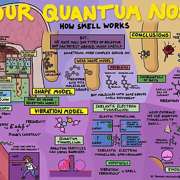 Artwork thumbnail, Your Quantum Nose: How Smell Works by DominicWalliman
