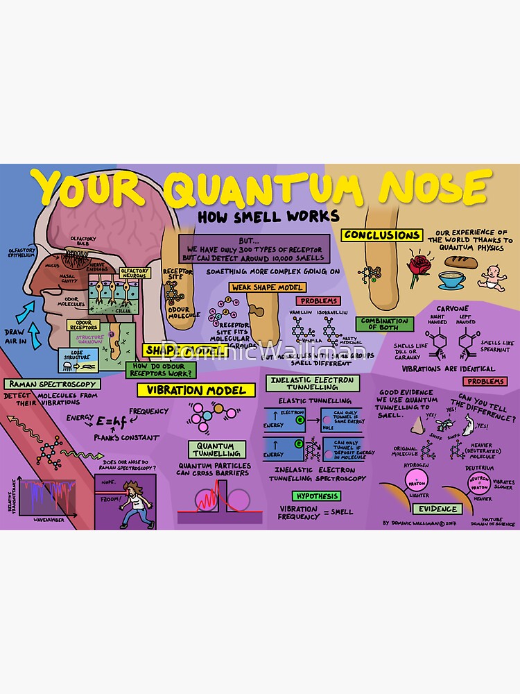 Thumbnail 3 of 3, Sticker, Your Quantum Nose: How Smell Works designed and sold by DominicWalliman.