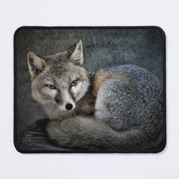 Item preview, Fox designed and sold by Savannah Gibbs.