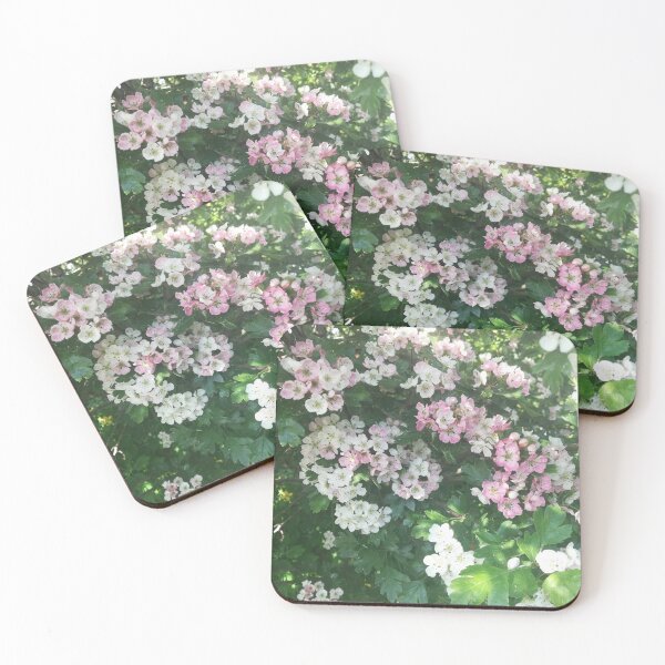 Item preview, Pink hawthorns photograph  designed and sold by esvb.