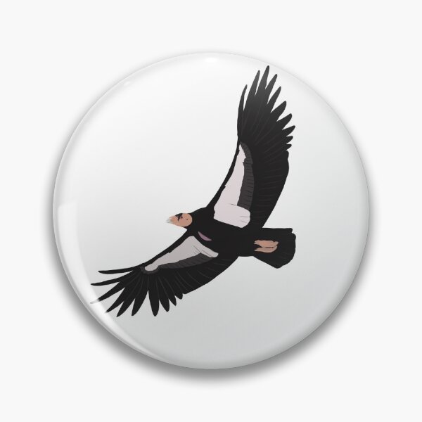 "California Condor in Flight" Pin for Sale by munozbird Redbubble