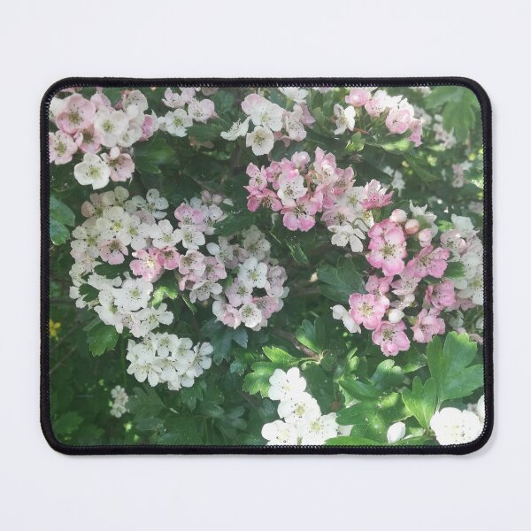 Item preview, Pink hawthorns photograph designed and sold by esvb.