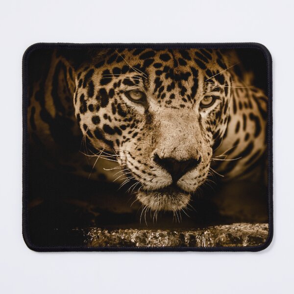 Item preview, Brazilian Jaguar designed and sold by brazilstuff.