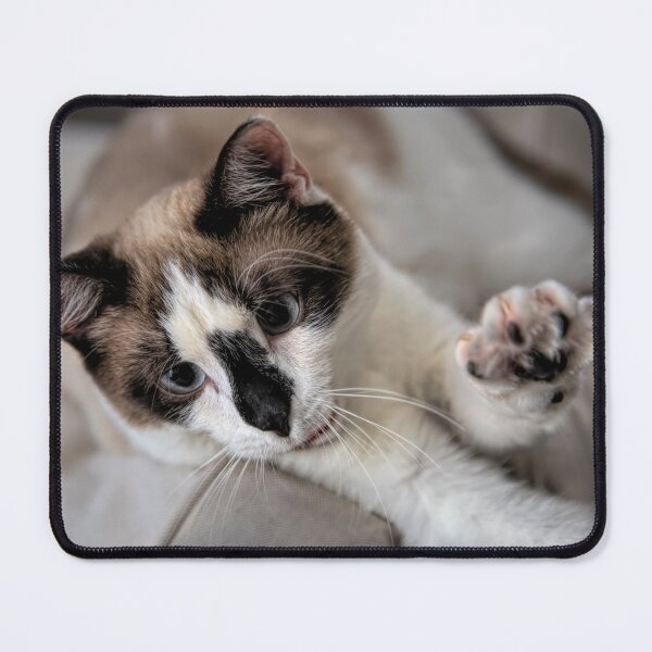 Item preview, Stretching Snowshoe Cat designed and sold by Elisabeth Lucas.