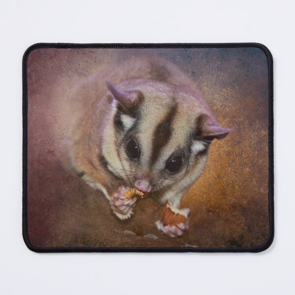 Item preview, Tiny Sugar Glider designed and sold by Elisabeth Lucas.