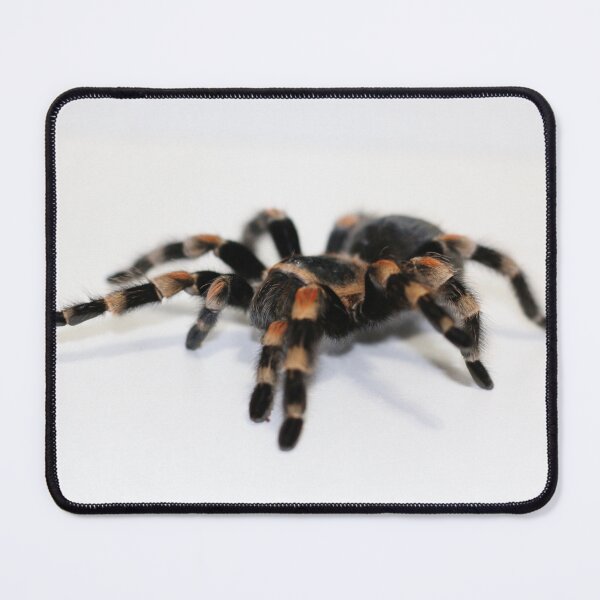 Item preview, Tarantula designed and sold by misimichu.