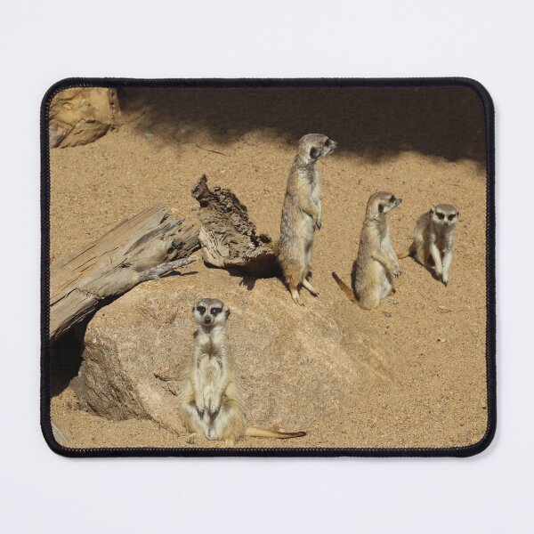 Item preview, Meerkat Pin Photo designed and sold by deanworld.