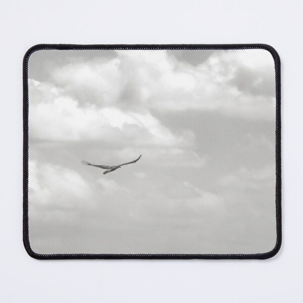 Item preview, Flying Solo designed and sold by DVJPhotography.