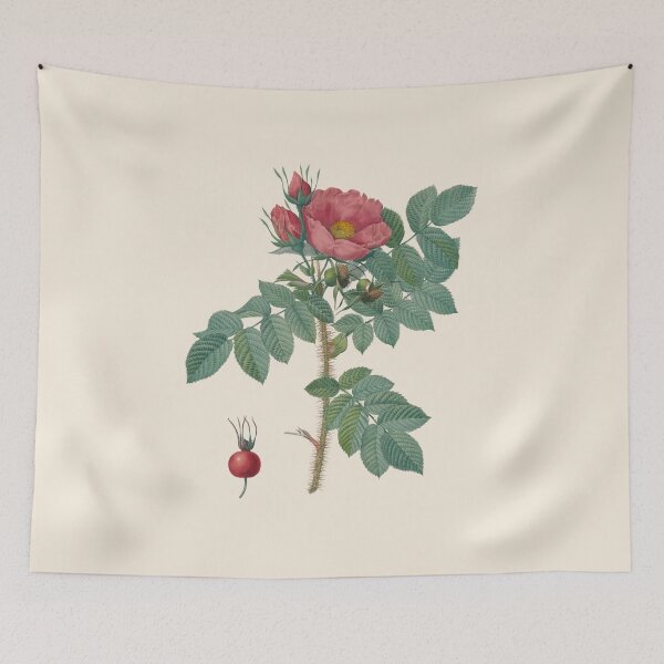 Item preview, Rose hip  botanical illustration  designed and sold by ArtCenturies.