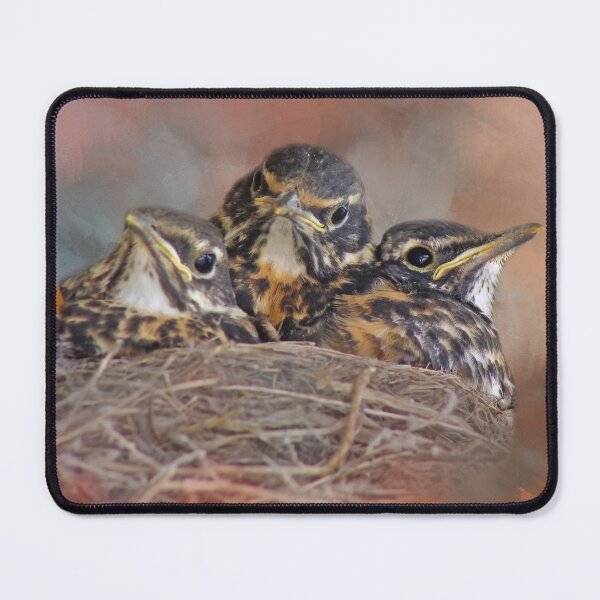 Item preview, Baby Robins designed and sold by Elisabeth Lucas.