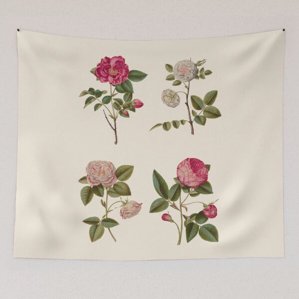Item preview, Roses and peonies botanical illustration  designed and sold by ArtCenturies.