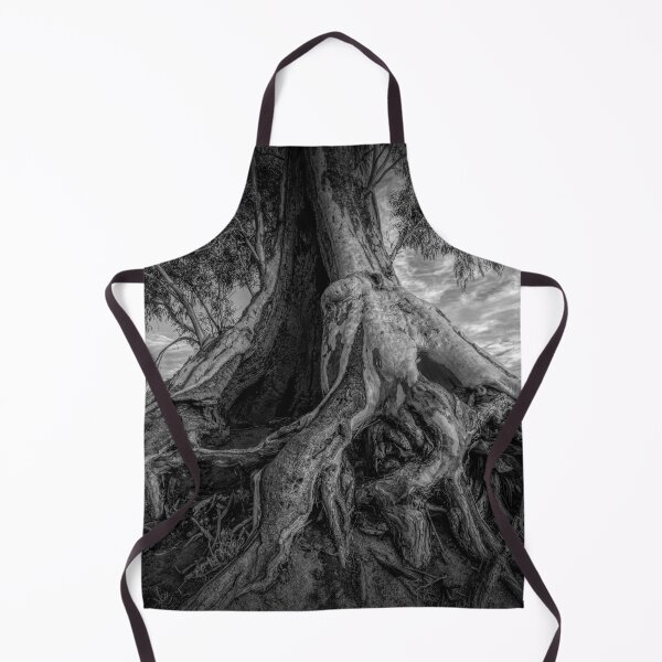 Item preview, Anchored designed and sold by DVJPhotography.