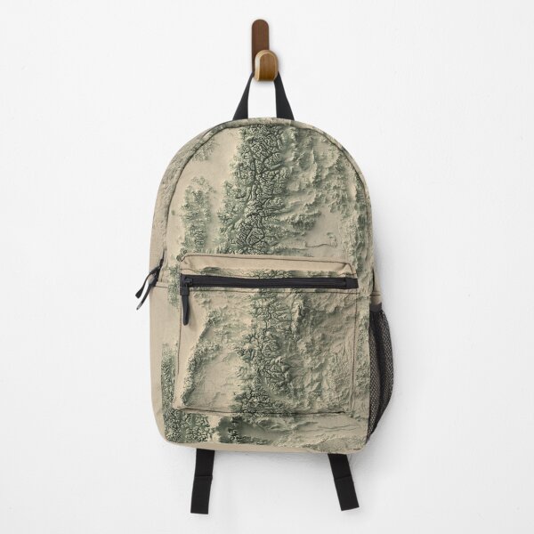 Item preview, Patagonia in Argentina and Chile Relief Map 3D digitally-rendered designed and sold by ThinkAboutMaps.