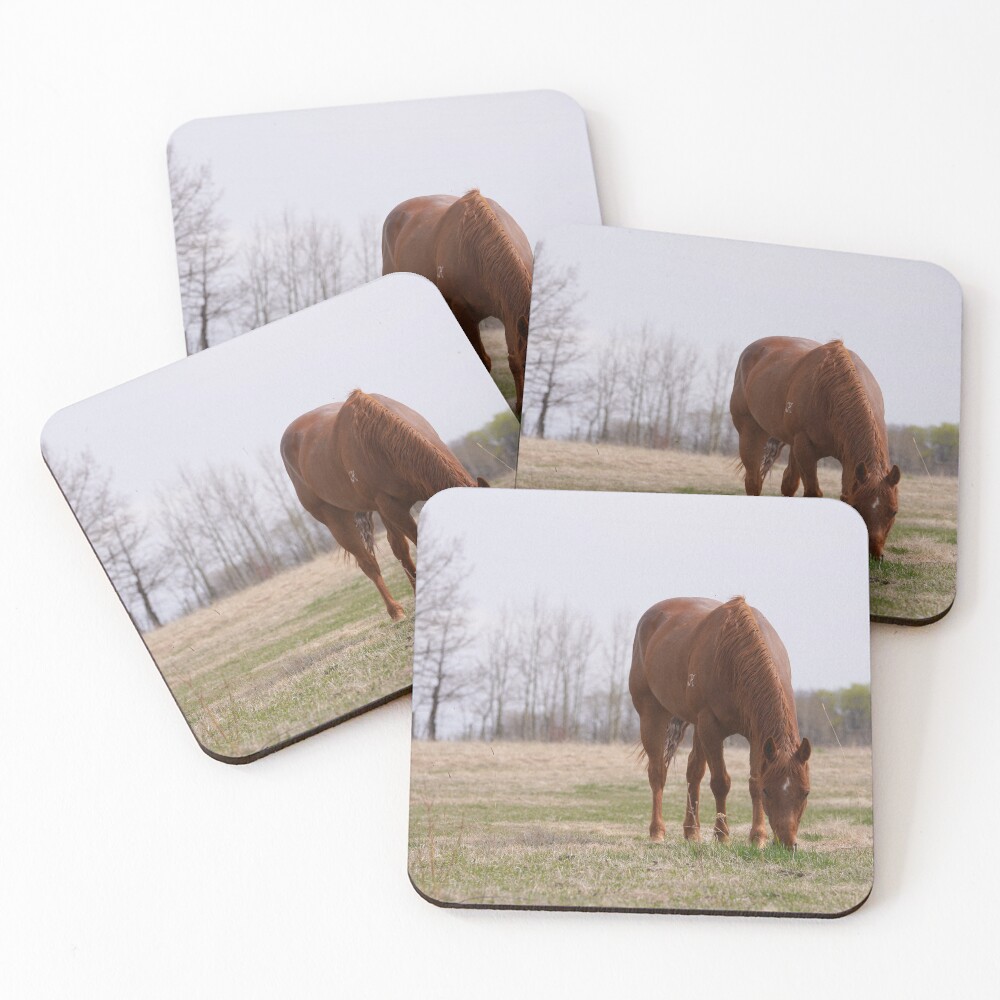 Item preview, Coasters (Set of 4) designed and sold by GralynJPhotos.