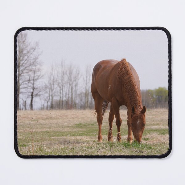 Item preview, Johnny Ringo designed and sold by Gralyn Boyd.