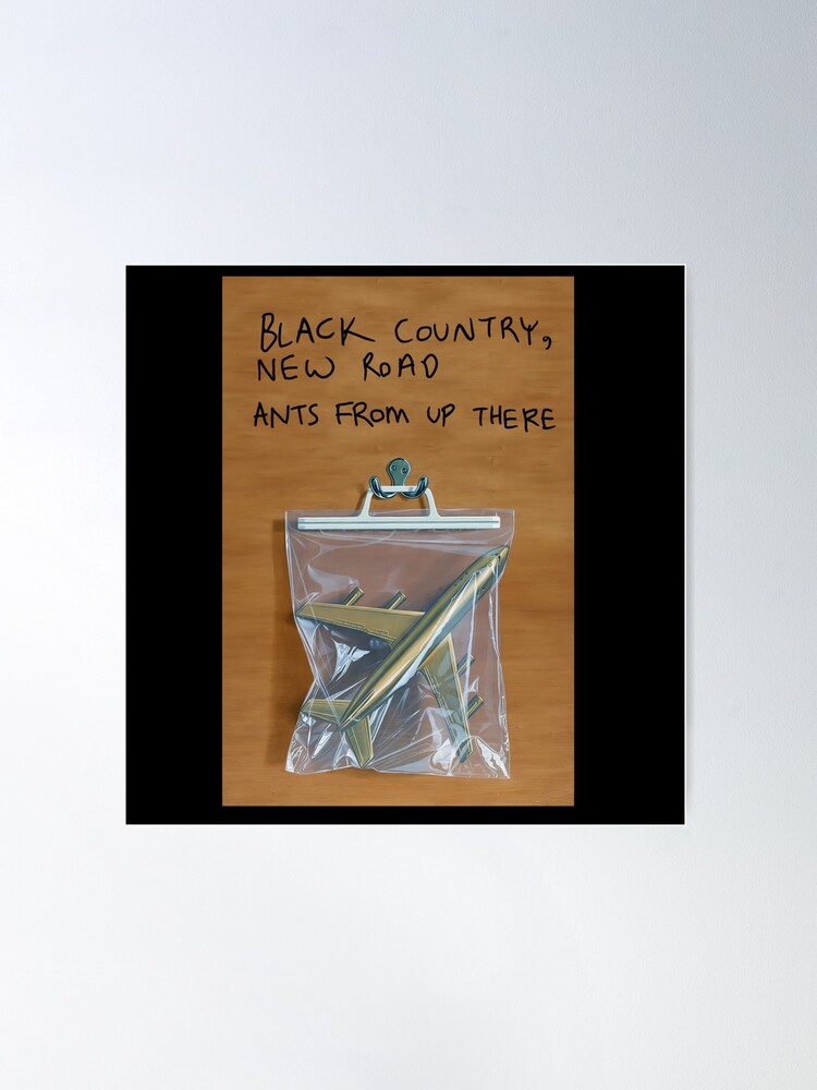 Black Country, New Road: Ants From Up There Album Review