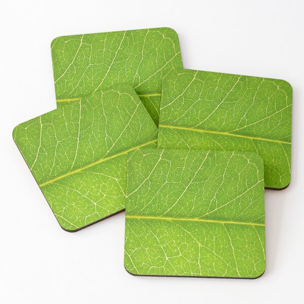 Artikelvorschau, Macro Leaf Closeup 4 Photography Nature plant  entworfen und verkauft von Dr-Pen.