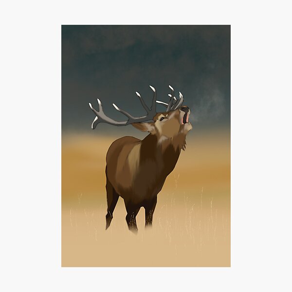 Item preview, Elk Calling Out On The Prairie Art Work designed and sold by Skull Fern.