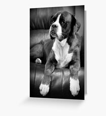 Missing you - Boxer Dogs Series Greeting Card