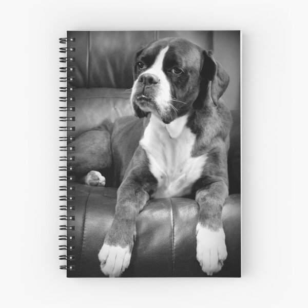 Item preview, Missing you - Boxer Dogs Series designed and sold by Evita.