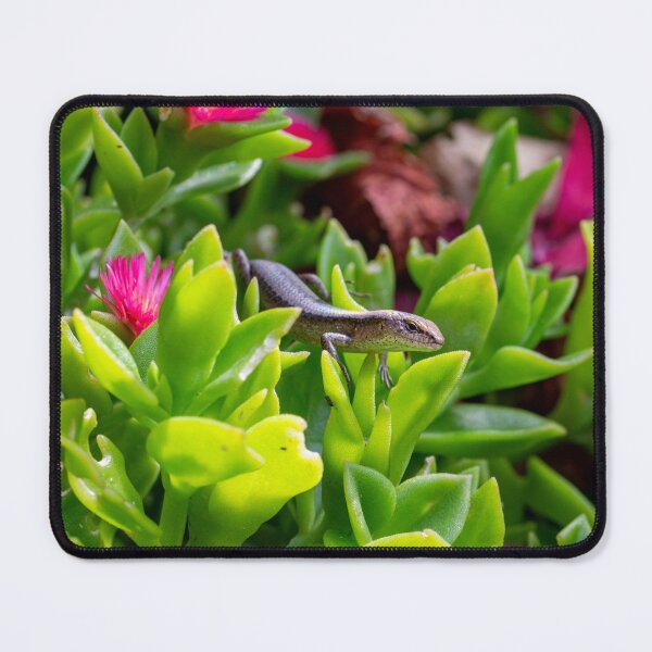 Item preview, Garden Skink Lizard designed and sold by PhotosByFelix.