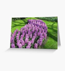 River of Purple - Bed of Hyacinths Greeting Card