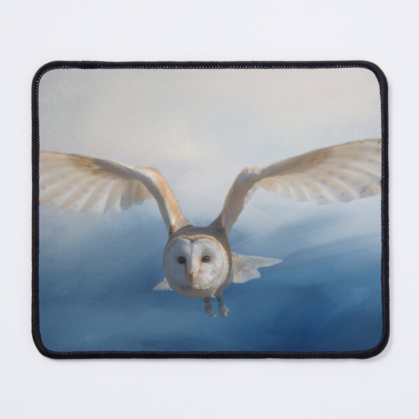 Item preview, Barn Owl in Flight designed and sold by Elisabeth Lucas.