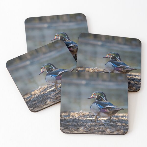 Item preview, The Wood Duck or Carolina Duck  designed and sold by Borinna.