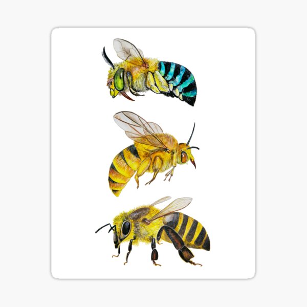 Item preview, Bees designed and sold by michellefleurk.