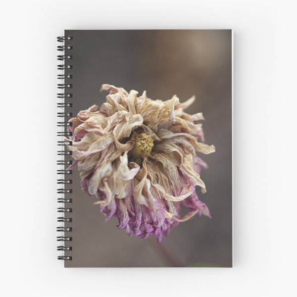 Item preview, Beauty Beyond designed and sold by Joy Watson - Natural Light Photography .