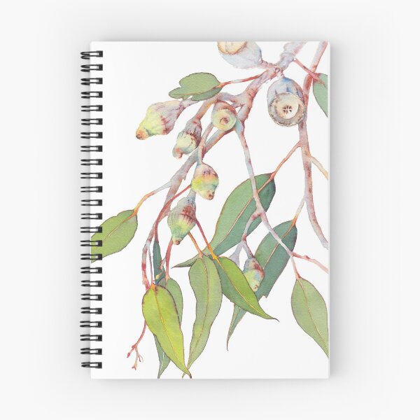 Item preview, Australian native eucalyptus tree branch watercolour designed and sold by Zoya Makarova.