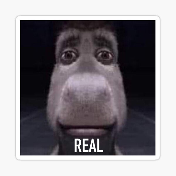viendo shrek burro meme gato - El Deforma - Un no-ticiero de verdad