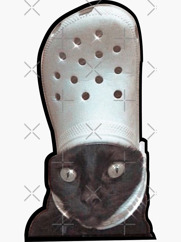 Cat Croc Meme funny | Sticker