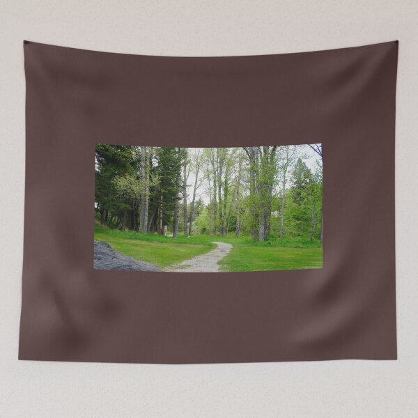 Item preview, Miners Path designed and sold by KellieF6.