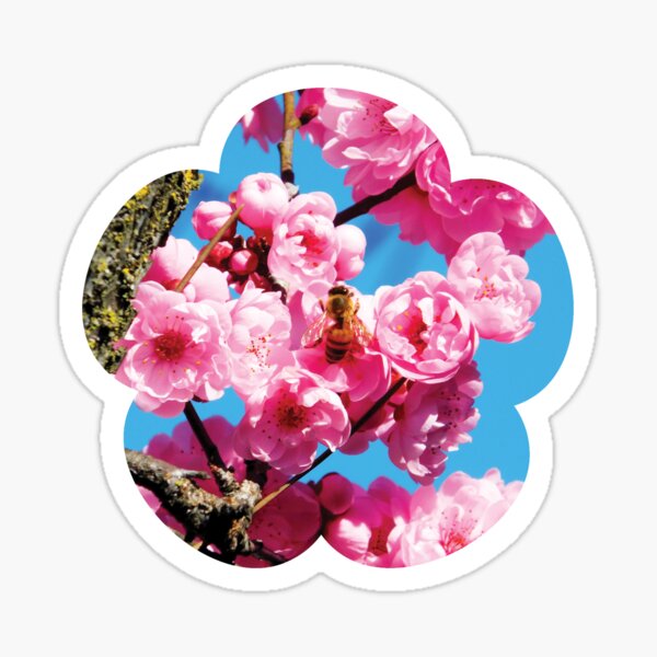 Bumble Bee Blossom Sticker