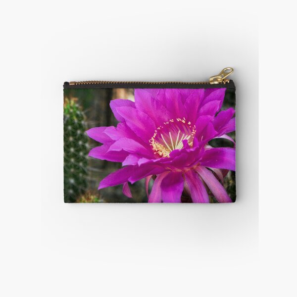 Item preview, Echinopsis in Hot Pink designed and sold by Saija  Lehtonen.