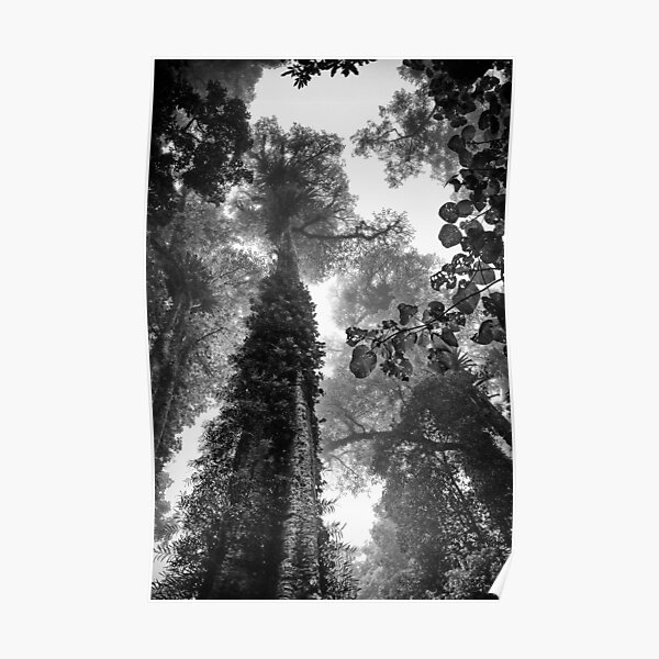 Look up - and up and up! Poster