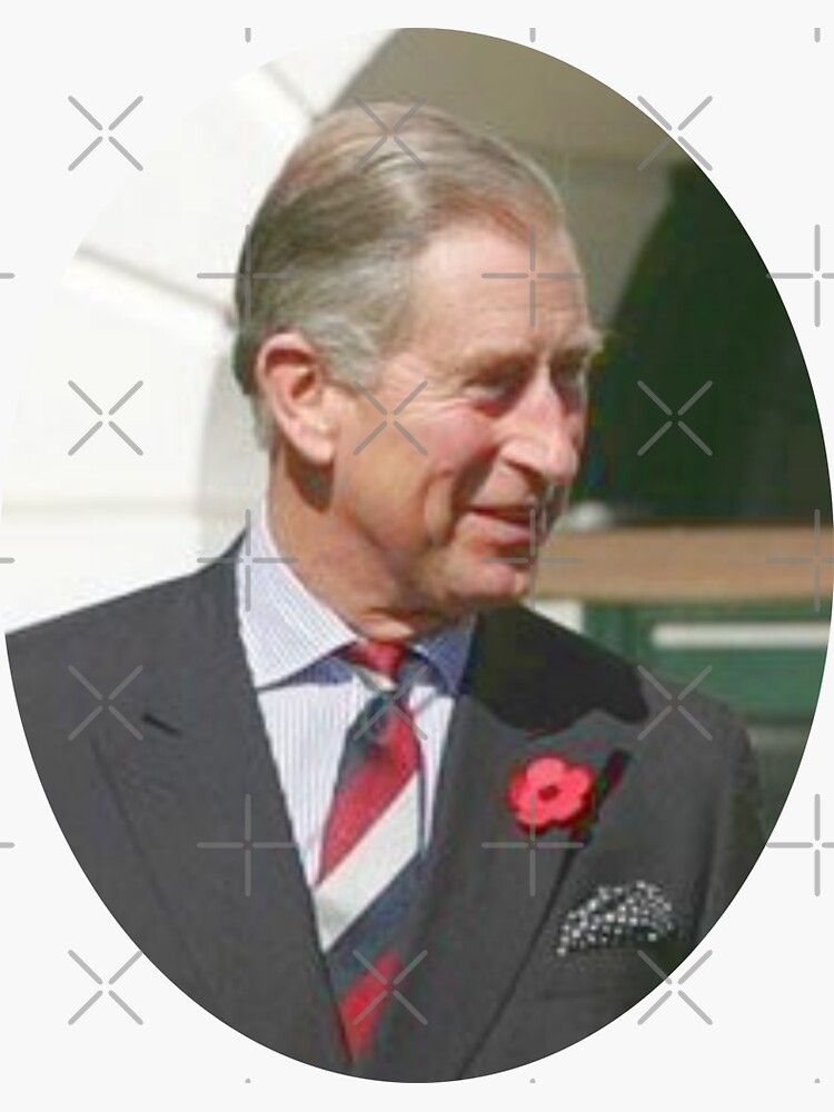 King Charles III Oval Photo by milldogstation